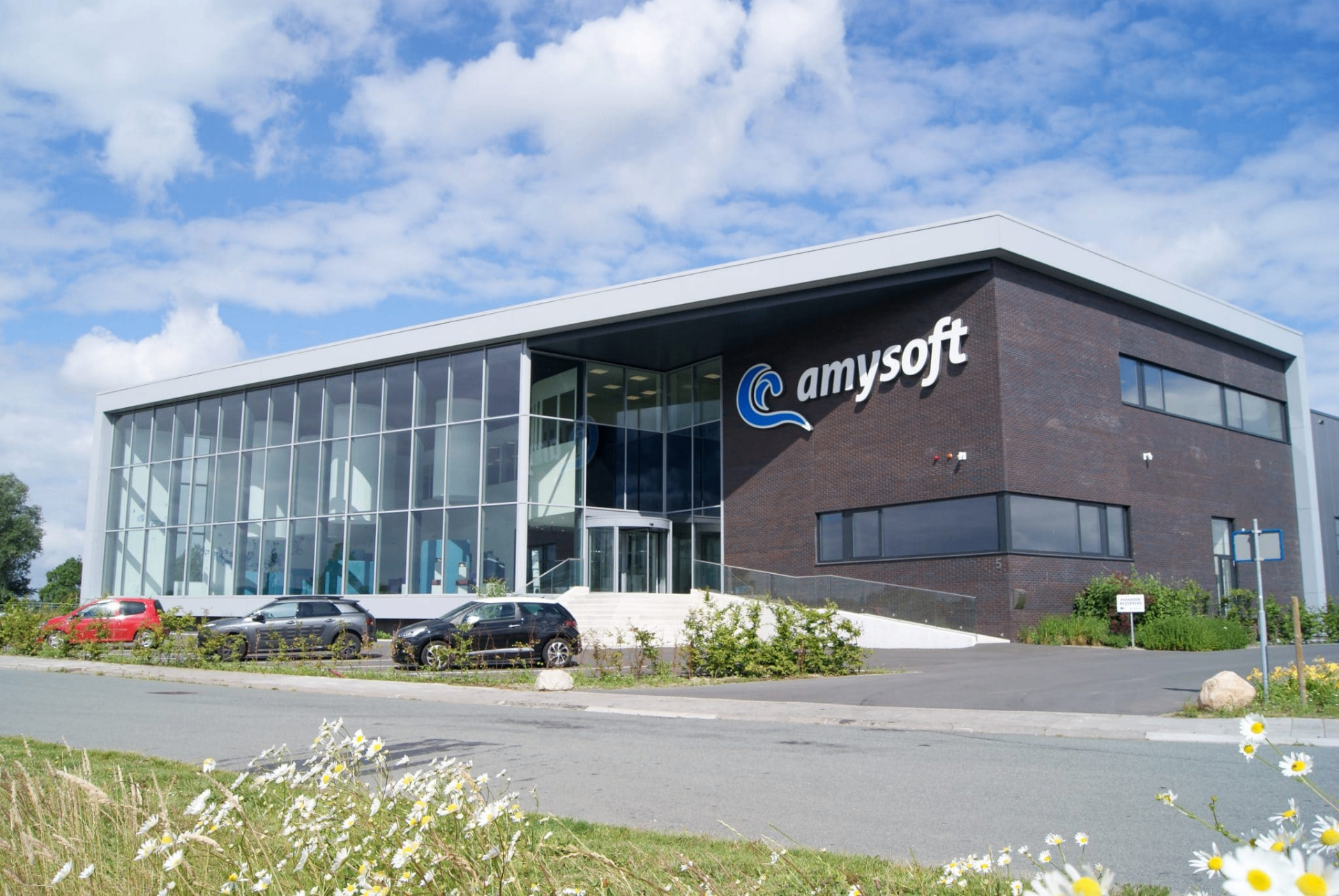 Amysoft: Digital Foundation Analysis
